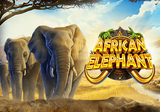 African Elephant game thumbnail